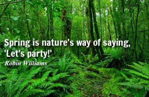 spring is natures way of saying lets party