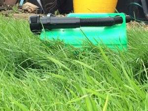 petrol can grass
