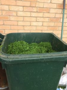 green waste bin